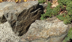 Bronx Gardens – Rocks