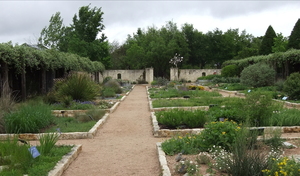 Lady Bird Johnson Wildflower Center