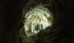 Carlsbad Caverns grotto 2