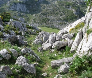 Rocky Path, Lago Ercina, Asturias (3D-hh 2013)